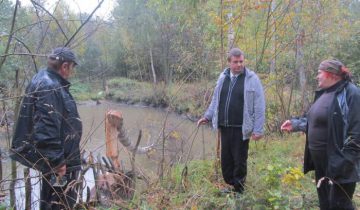 бобры улановичи