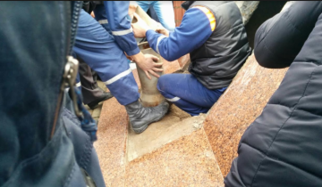 капсула полоцк