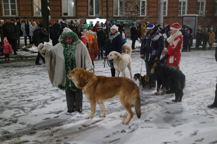6 прикольных и ярких персонажей витебского парада Дедов Морозов
