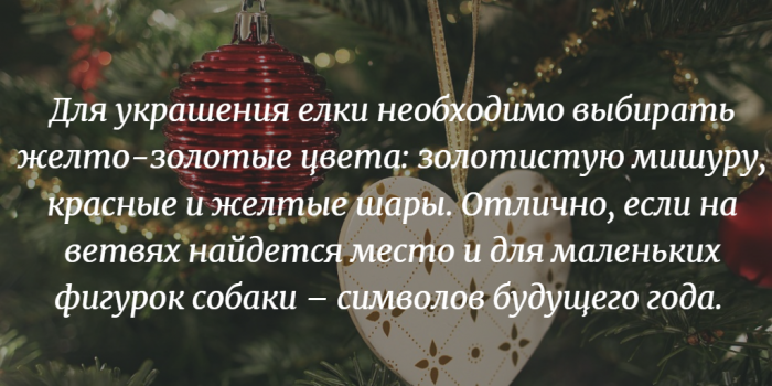 8 простых способов правильно встретить Год Собаки