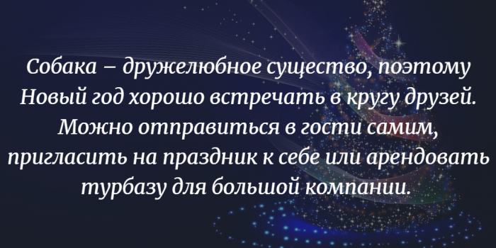 8 простых способов правильно встретить Год Собаки