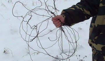 косуля петля браконьер