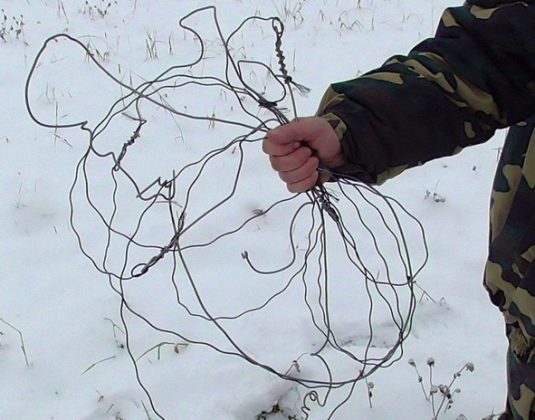 косуля петля браконьер