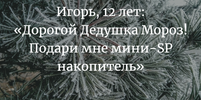 «Новогодняя елка желаний» в ТЦ «Грин». Как и что подарить детям, которым особенно хочется чуда в Новый год