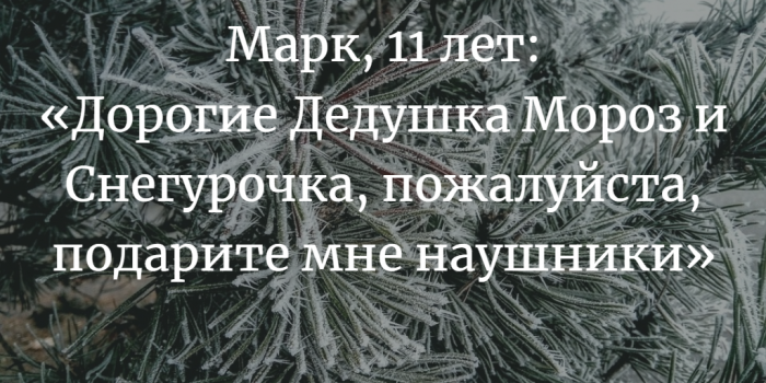 «Новогодняя елка желаний» в ТЦ «Грин». Как и что подарить детям, которым особенно хочется чуда в Новый год