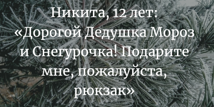 «Новогодняя елка желаний» в ТЦ «Грин». Как и что подарить детям, которым особенно хочется чуда в Новый год