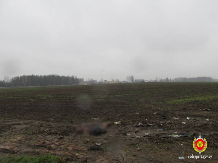 светлогорск
