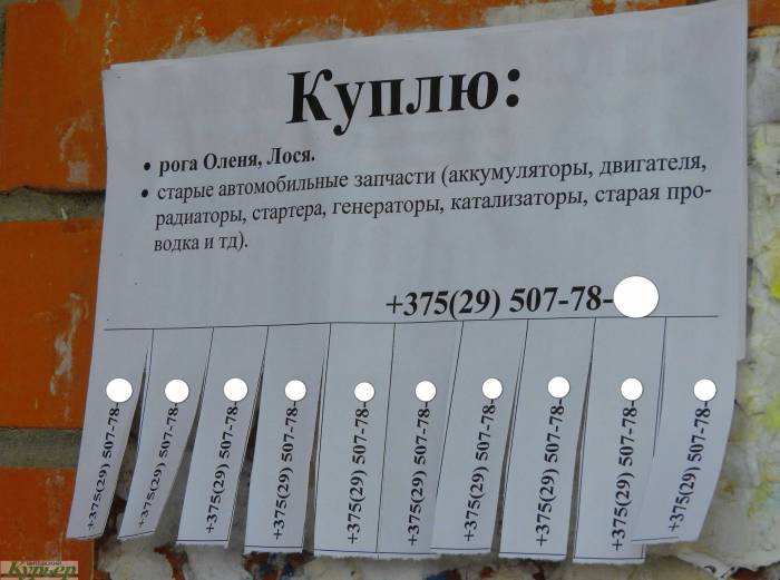 За расклейку объявлений на витебских столбах можно получить штраф до 1250 рублей