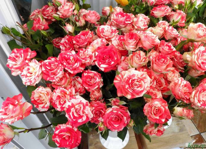 В преддверии 8 Марта магазины цветов в Витебске будут работать почти круглосуточно