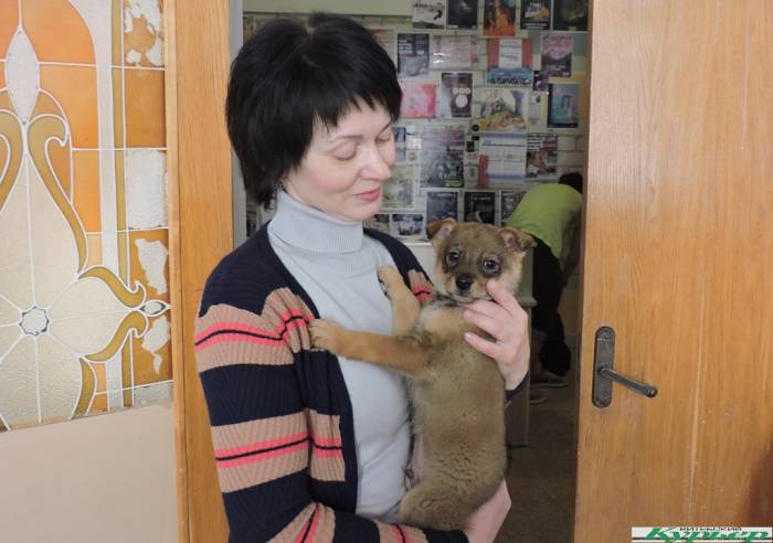Сеанс «собакотерапии» прошел в арт-центре VZAP