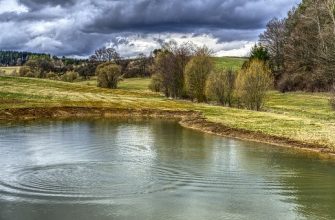 пруд водоем