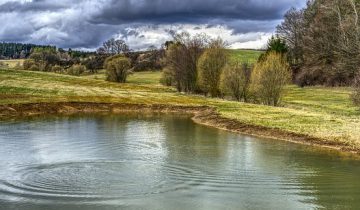 пруд водоем