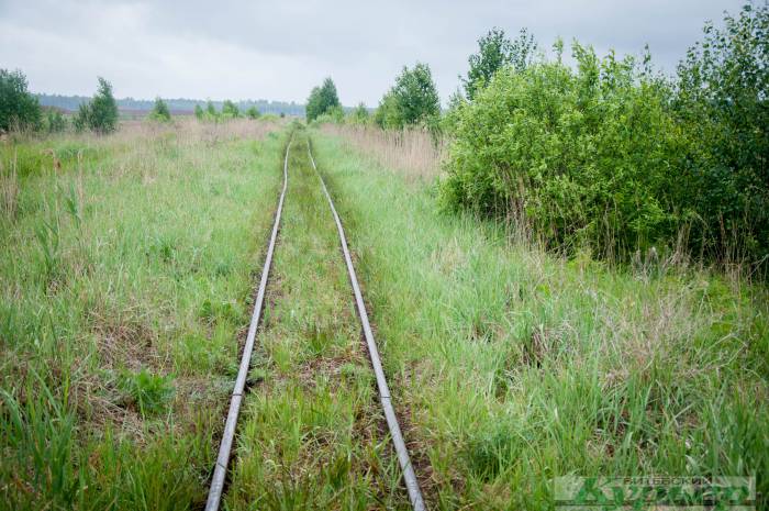 Как инженер-романтик организовал необычные экскурсии по забытым железнодорожным путям Беларуси (видео)