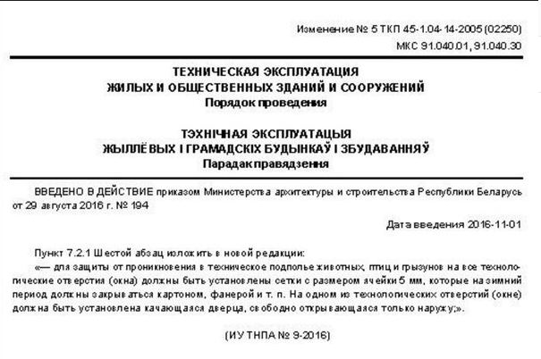Замурованные заживо. Война витебского ЖЭУ с бездомными котами и как этому противостоять законно