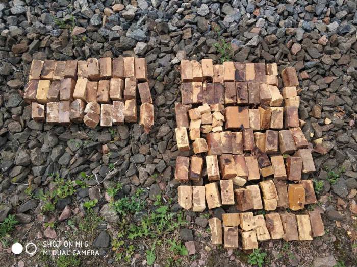 В Оршанском районе на железнодорожном мосту саперы нашли еще 99 тротиловых шашек