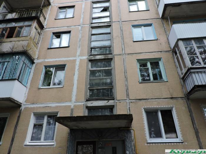 Жители улицы Золотогорской в Витебске: «В нашем доме нет таких людей, которые «помогли» бы бездомному животному вылететь в окно»