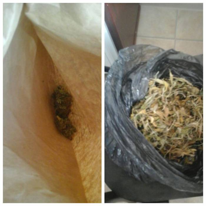 В Витебске молодой мужчина выращивал в квартире марихуану и коноплю