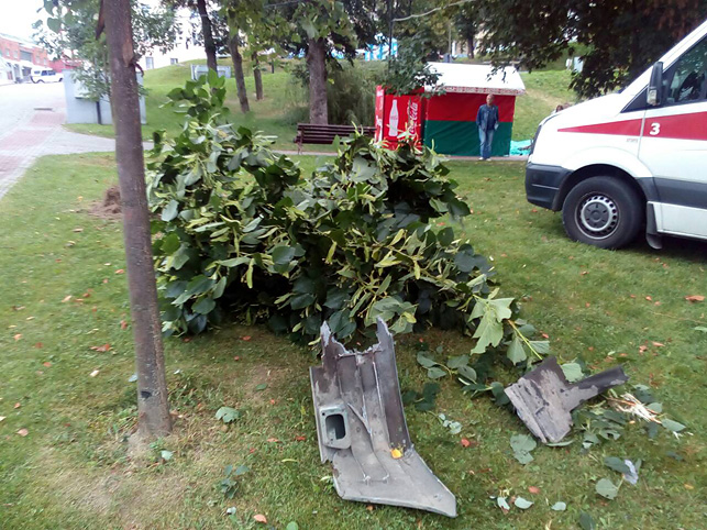 В Витебске в парке Победителей покатился припаркованный грузовик. Машина сломала дерево и въехала в павильон с аттракционом