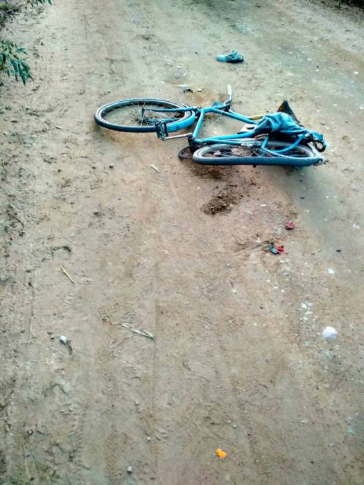 В Миорском районе водитель трактора зацепил картофелекопалкой велосипедиста