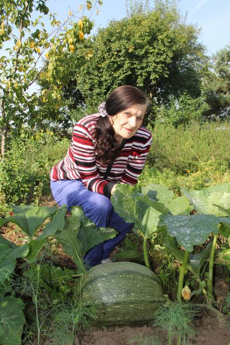 Вот это урожай! Самые большие овощи, которые выращивали белорусы в 2018 году