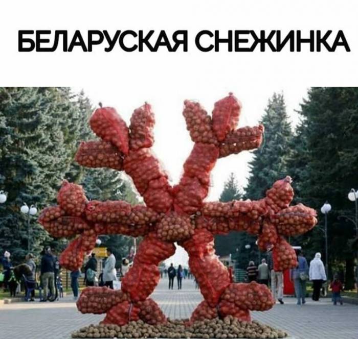 Бульбашинка или снежинка? В Беларуси прошли сельскохозяйственные ярмарки