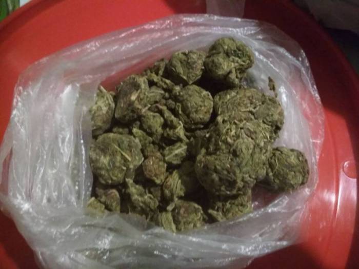 У жителя Витебска изъяли больше трех килограммов высушенной марихуаны