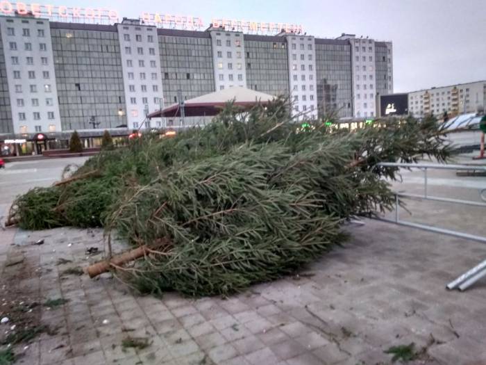 В Витебске на площади Победы начали устанавливать елку, а возле амфитеатра необычные горки