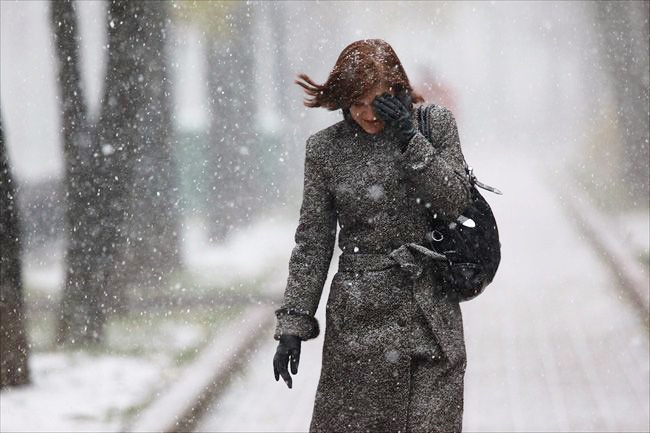 Снегопад в Витебске: в ближайшие дни город заметет первая настоящая метель