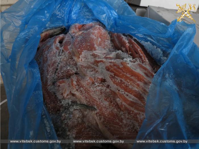 Возле белорусско-российской границы витебские таможенники задержали 20 тонн хребтов и брюшек лосося под видом керамической плитки