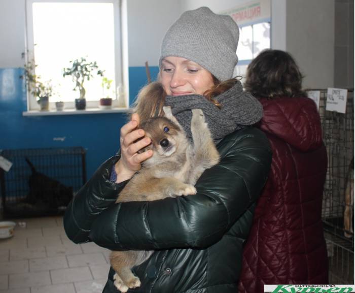«Мова нанова» поддержали Витебский приют для бездомных животных