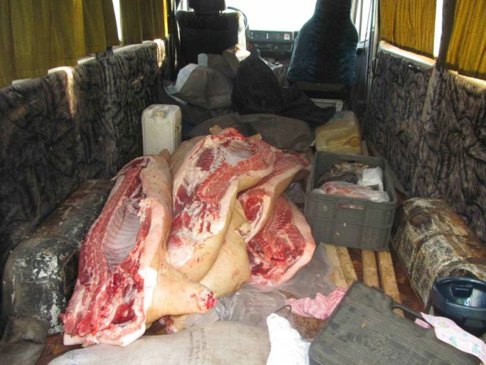 Житель Барани вывез почти 300 килограммов свинины с ОАО «Оршанский КХП»