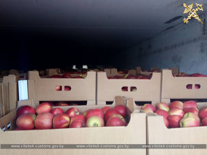 Почти 20 тонн свежих яблок пытались незаконно вывезти из Беларуси