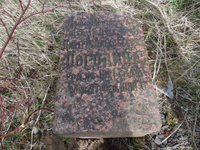 Полоцкие краеведы обнаружили возле Полоты старинные надгробья: «Мы даже не знаем, что ходим по костям»