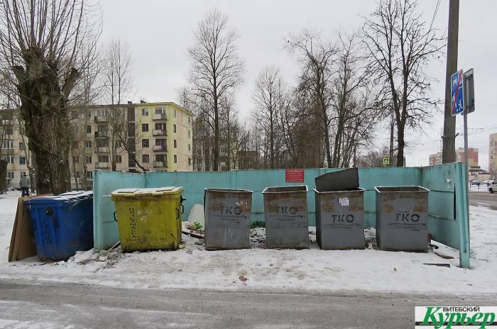 Витебск превращается в свалку. Кто сможет остановить мусорное нашествие в городе?