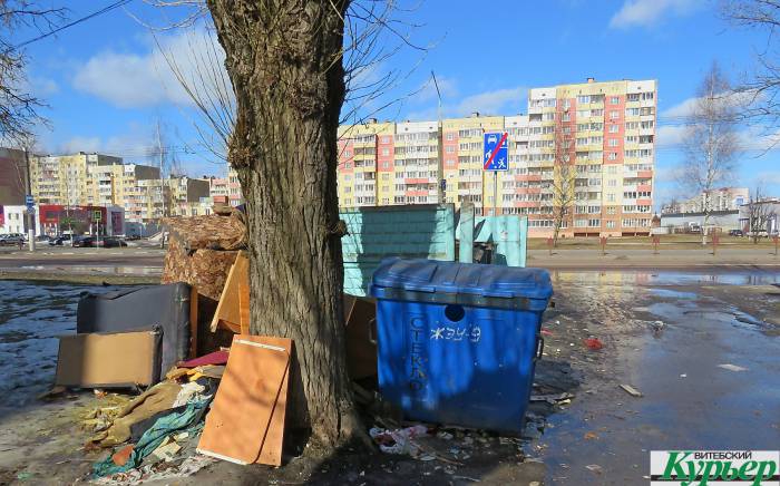 Витебск превращается в свалку. Кто сможет остановить мусорное нашествие в городе?