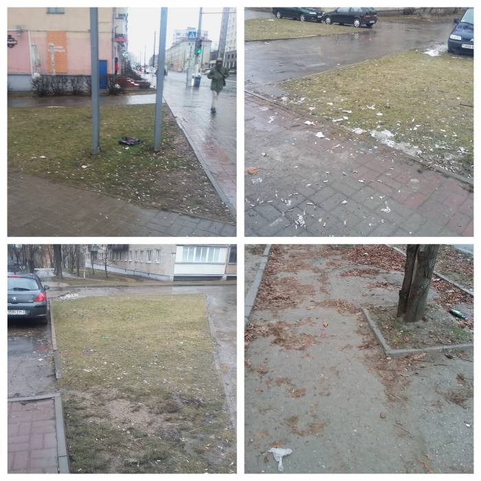 Витебчане возмущаются работой коммунальных служб города. «Если так будет продолжаться, то нам грозит экологическая катастрофа!»
