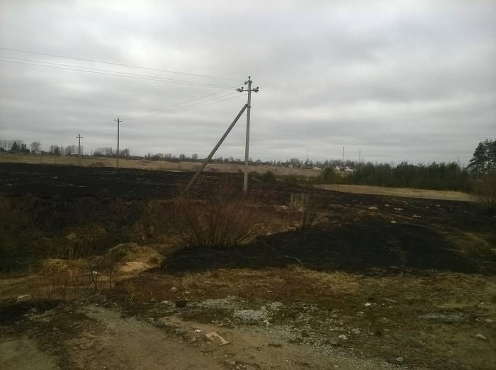 В Витебской области вдоль трассы М3 можно увидеть обугленные поля