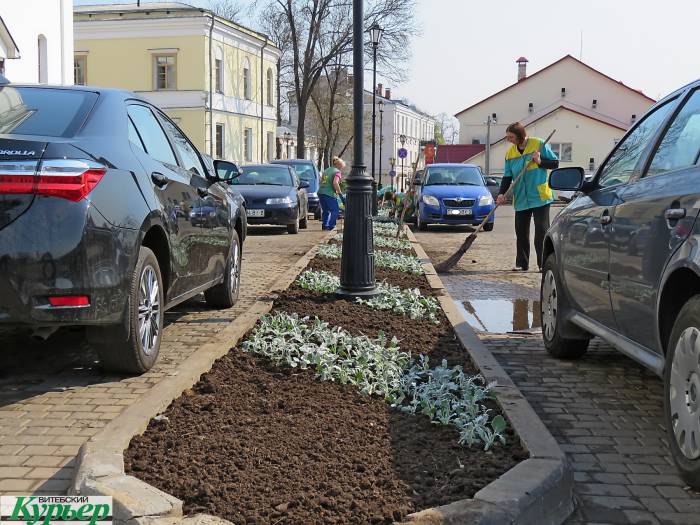 Какие цветы и где высадят в Витебске в этом году