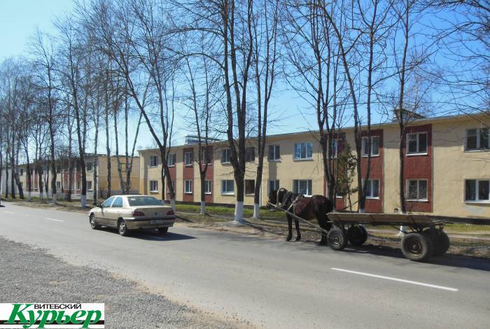 В белорусских деревнях лошадь становится редкостью. Почему Владимир из агрогородка Октябрьская ни на что не поменяет свой транспорт?