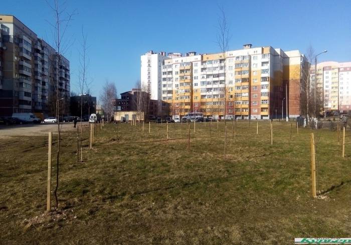 В Витебске появилась новая зеленая зона