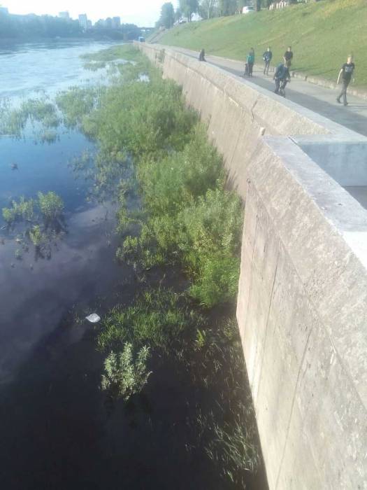 В Витебске 15-летний парень катался на велосипеде и упал с набережной в воду