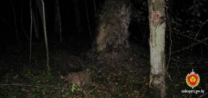 Шокирующие подробности убийства в Витебске. Над 28-летней Светланой сначала издевались, а потом еще живую закопали в лесу