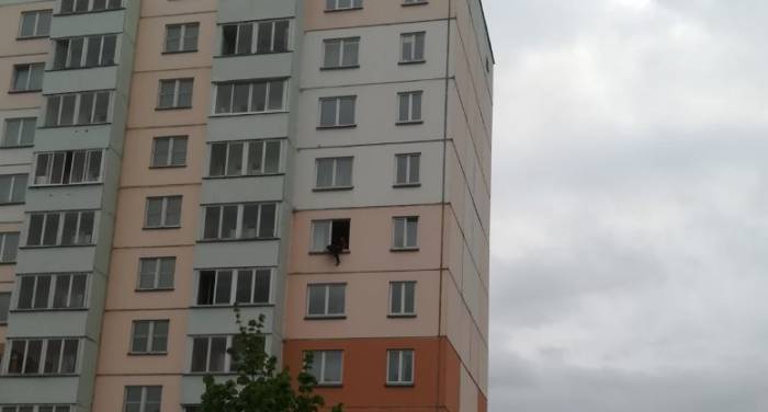 В Витебске с 6-го этажа просто взяли и выбросили кошку. Как теперь за ее жизнь борются всем двором
