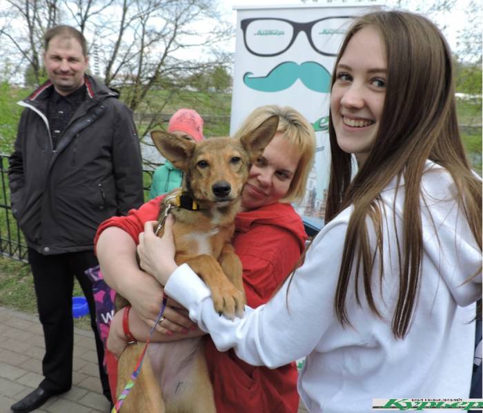Как в Витебске прошла акция в пользу приюта для бездомных животных