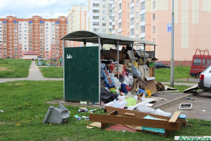 В Витебске микрорайон Билево зарастает мусором. Сколько это будет продолжаться?
