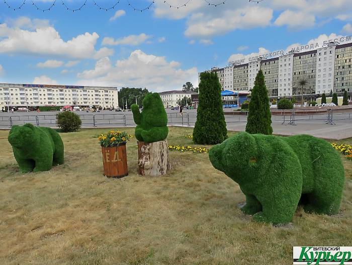 В Витебске на площади Победы установили три медведя и два кролика из топиарной травы