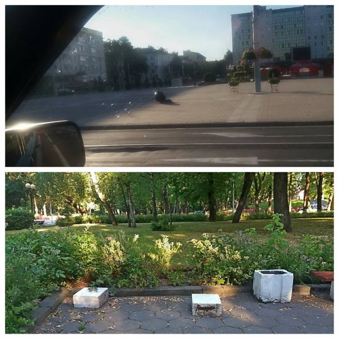 В Витебске за одну ночь разрушили два украшения в городе и сломали скамейку в сквере