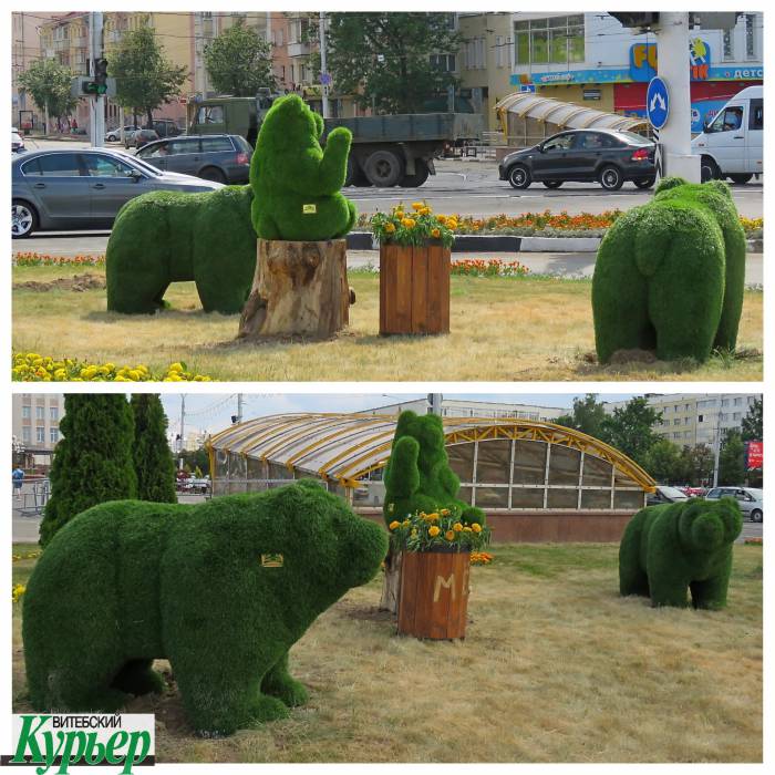 В Витебске на площади Победы установили три медведя и два кролика из топиарной травы