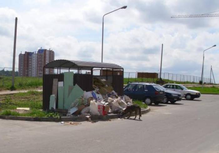В Витебске в микрорайоне Билево на мусорных площадках играют дети и бегают крысы