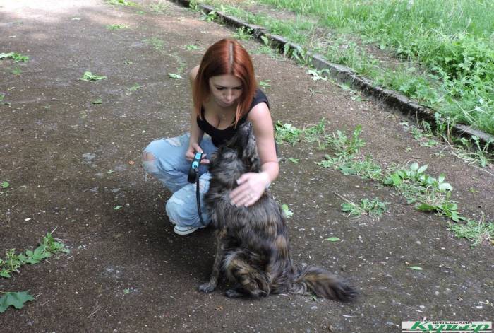 Жительница Витебска взяла из городского приюта двух прекрасных собак. «Никогда в жизни больше не куплю породистое животное»